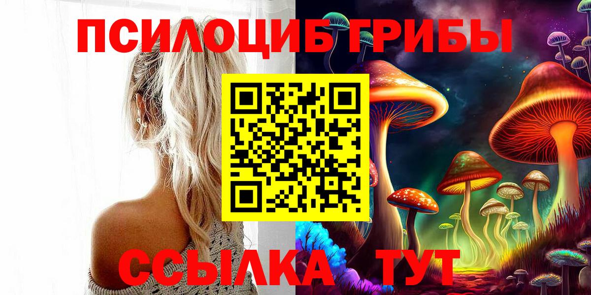 Галлюциногенные грибы GOLDEN TEACHER Орехово-Зуево