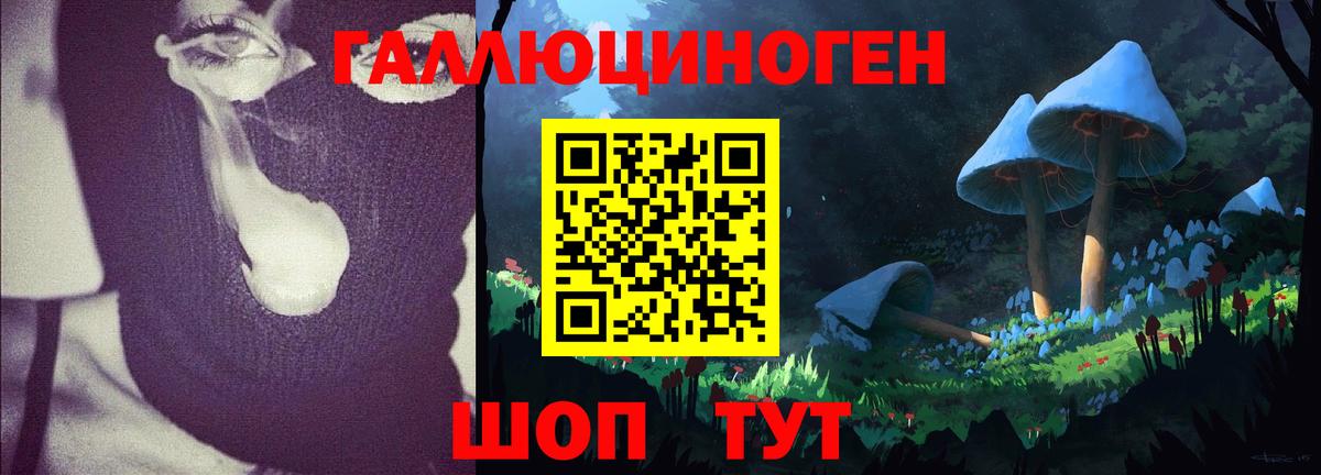 Орехово-Зуево  Псилоцибиновые грибы Psilocybine cubensis  Галлюциногенные грибы мицелий  Вход с VPN 